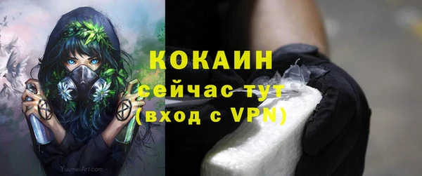 прущие грибы Каменка