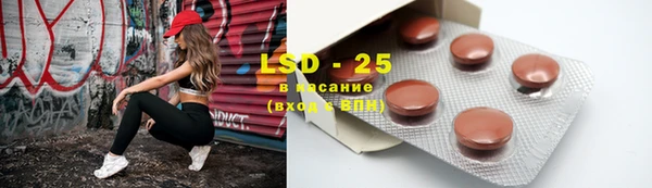 прущие грибы Каменка