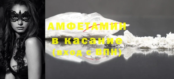 прущие грибы Каменка