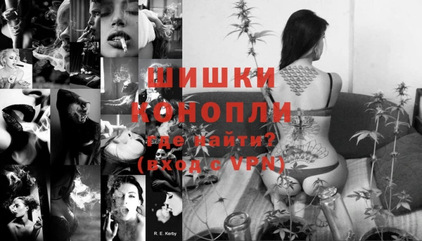 прущие грибы Каменка