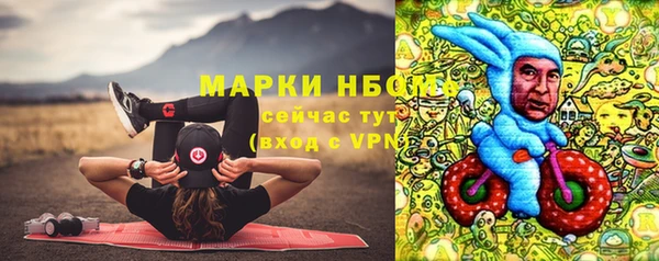 прущие грибы Каменка