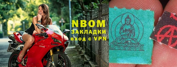 прущие грибы Каменка
