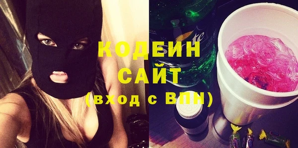 прущие грибы Каменка