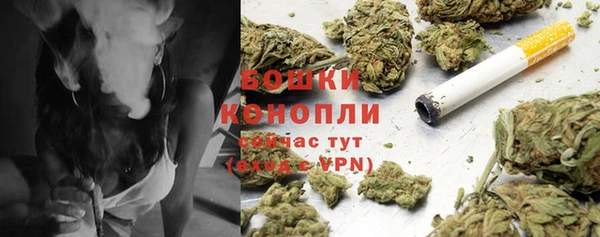 прущие грибы Каменка