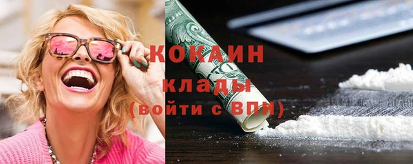 прущие грибы Каменка