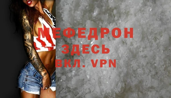прущие грибы Каменка