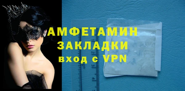 прущие грибы Каменка