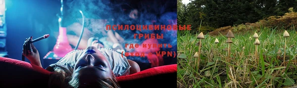 прущие грибы Каменка