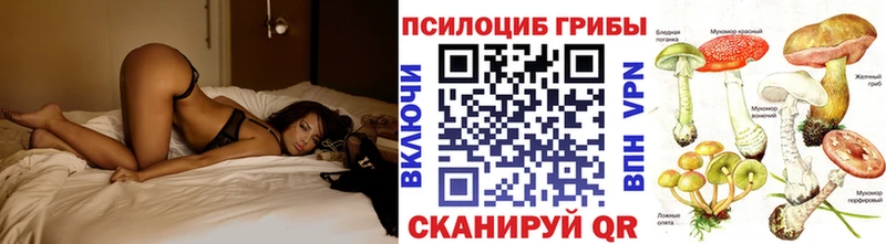 Псилоцибиновые грибы Magic Shrooms  Купить  Княгинино 